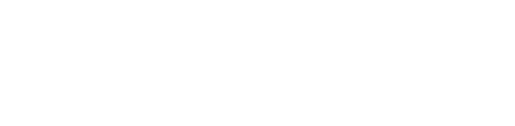 VaLogic White Logo